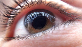 Closeup of an eye