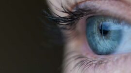 Close up of a blue eye